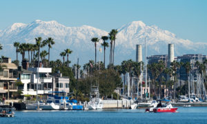 Beautiful Southern California - Place for business and enjoying the Mountains, Winter, Bay, Landscape, Palms