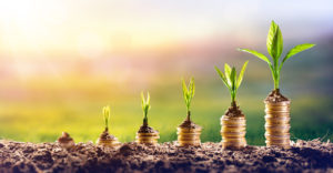 Small Business Growth - Growing Money