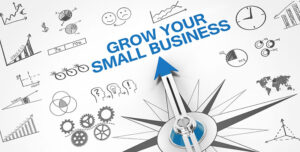 Grow your small business with SEO, Social Media, Link Building Marketing