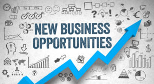 new small business opportunities